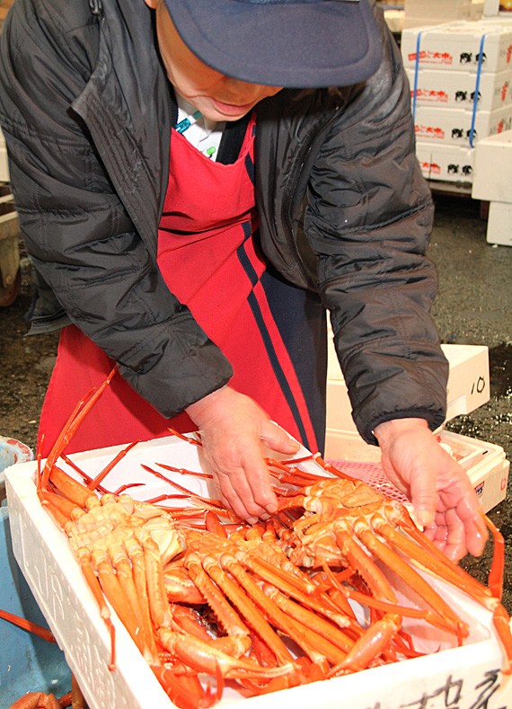 �ڿ��̸��ꡦͽ�������12/29�������ټ����ۥ����չȥ��磻���ˡ������1�ѥ�:��觤�<�ٻ��ѻ�ŷ����ͽ������ ���� | ����������ϤΤ����󤻥⡼������jp