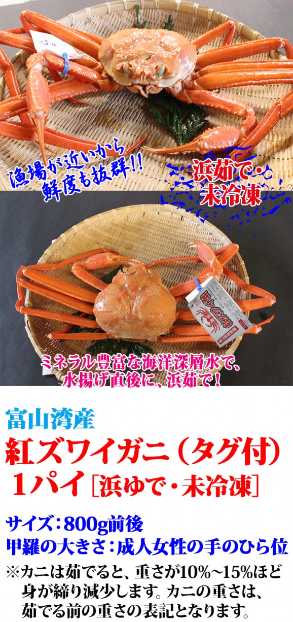 �ڿ��̸��ꡦͽ�������12/29�������ټ����ۥ����չȥ��磻���ˡ������1�ѥ�:��觤�<�ٻ��ѻ�ŷ����ͽ������ ���� | ����������ϤΤ����󤻥⡼������jp