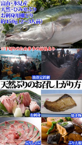 【富山・氷見産】ひみ寒ぶり(10kg前後サイズの片身) | 日本全国各地のお取り寄せモール風土jp