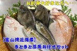 【富山湾近海産】 きときと四季活魚お任せセット