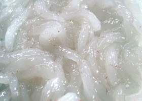 ���ٻ��ѻ��ۡɹ���ɤ��ɿȡʤभ�ȡ˥��å� | ����������ϤΤ����󤻥⡼������jp