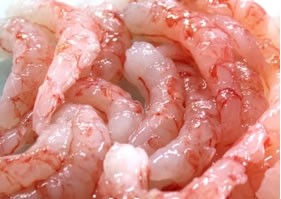 ���ٻ��ѻ��ۡɹ���ɤ��ɿȡʤभ�ȡ˥��å� | ����������ϤΤ����󤻥⡼������jp