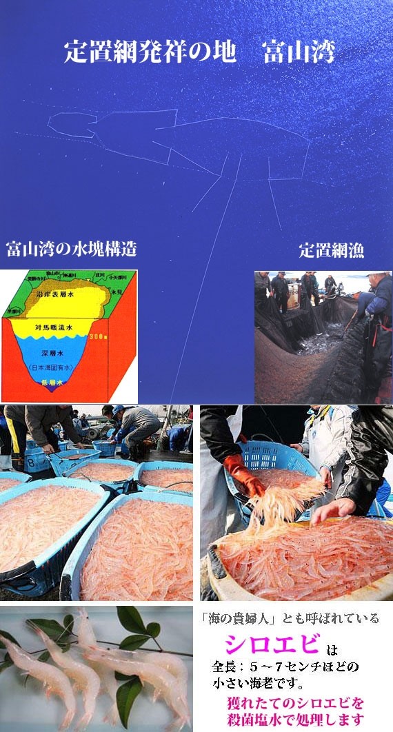 ���ٻ��ѻ��ۡɹ���ɤ��ɿȡʤभ�ȡ˥��å� | ����������ϤΤ����󤻥⡼������jp