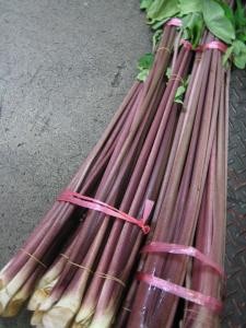 酢ずき【南砺市特産里いも】赤ずき 700g | 日本全国各地のお取り寄せモール風土jp