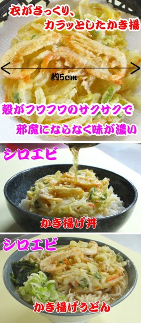 シロエビかき揚げ(手揚げ)80g前後×10個入+α:つゆ1本付 | 日本全国各地のお取り寄せモール風土jp