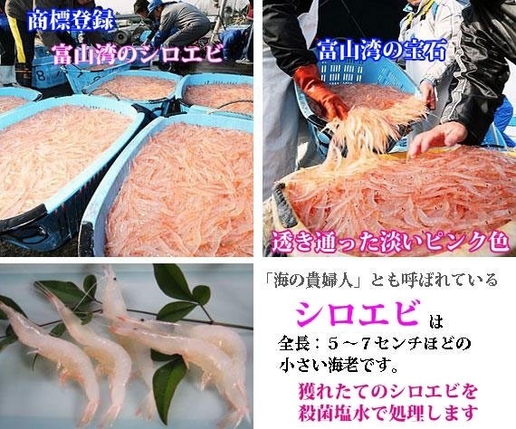 シロエビかき揚げ(手揚げ)80g前後×10個入+α:つゆ1本付 | 日本全国各地のお取り寄せモール風土jp