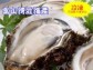 *2016年5月販売開始*【岩牡蠣【富山湾産】|商品(1)中サイズ300g前後×5個|商品(2)小サイズ200g前後×10個|商品(3)大サイズ350g前後×5個