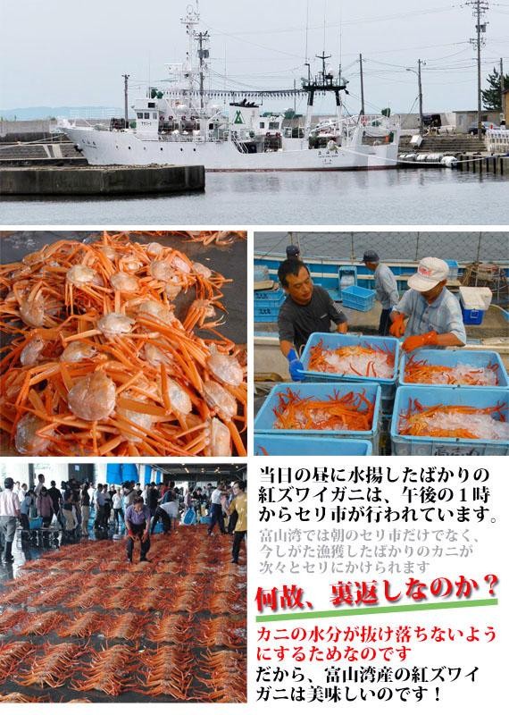 �ٻ��Ѥ��Ȥ������С�3���ɥ��å� | ����������ϤΤ����󤻥⡼������jp