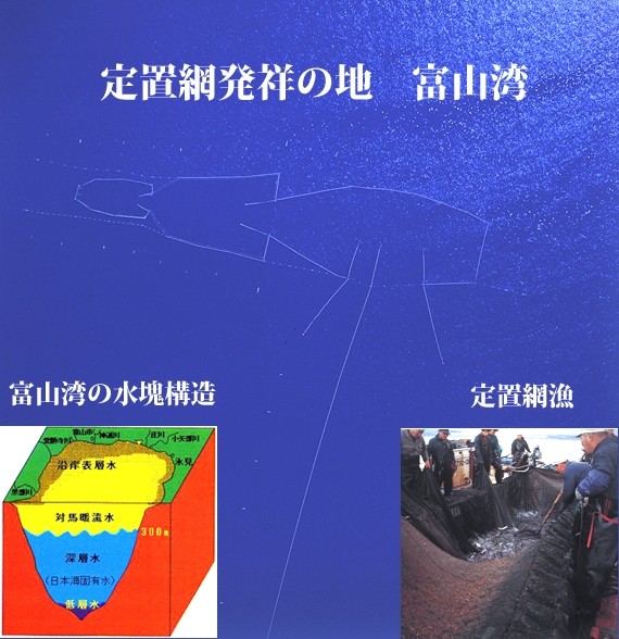 【塩辛】ホタルイカこうじ漬け 300g | 日本全国各地のお取り寄せモール風土jp