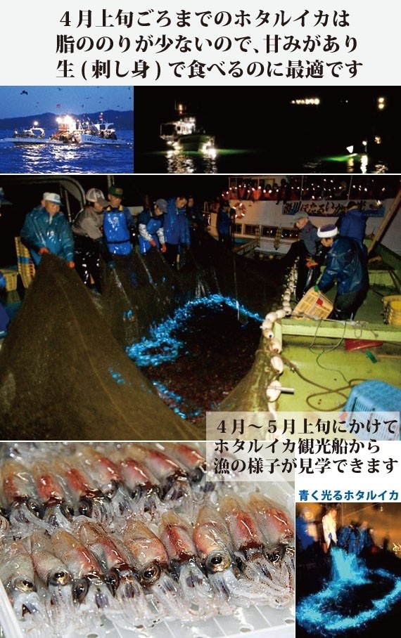 【塩辛】ホタルイカこうじ漬け 300g | 日本全国各地のお取り寄せモール風土jp