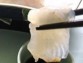 【富山湾産】 天然ヒラメの柵取り(お刺身)