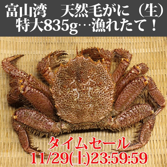 �������ॻ��������ٻ��ѻ���ŷ���Ӥ���(��)�����ѥ�����835g�����11/29�¤�� ���� | ����������ϤΤ����󤻥⡼������jp