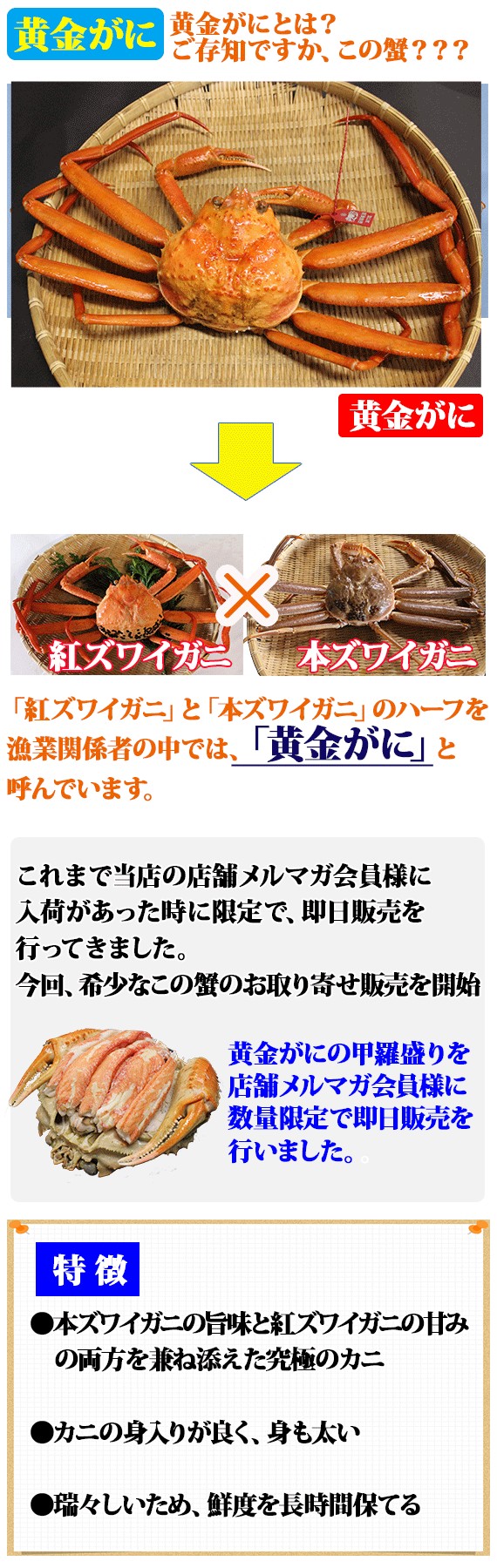 ��55%off�����ٻ�����̫���ۥ����ա����⥬�ˡ��������꣱�ѥ�500g�����12/25���Τ��Ϥ��� | ����������ϤΤ����󤻥⡼������jp