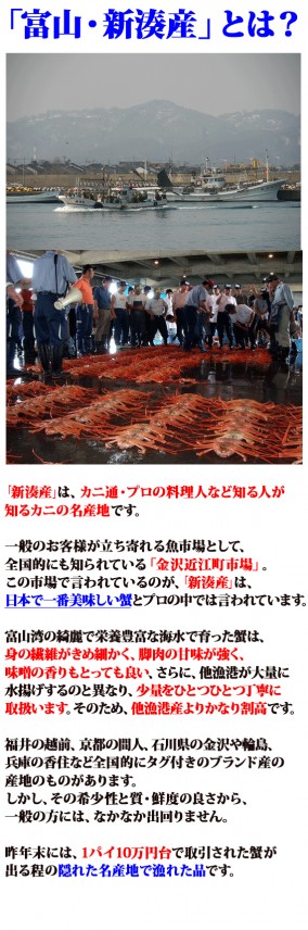 ��55%off�����ٻ�����̫���ۥ����ա����⥬�ˡ��������꣱�ѥ�500g�����12/25���Τ��Ϥ��� | ����������ϤΤ����󤻥⡼������jp