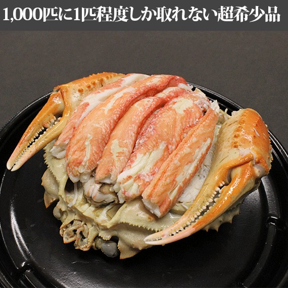 ��55%off�����ٻ�����̫���ۥ����ա����⥬�ˡ��������꣱�ѥ�500g�����12/25���Τ��Ϥ��� ���� | ����������ϤΤ����󤻥⡼������jp