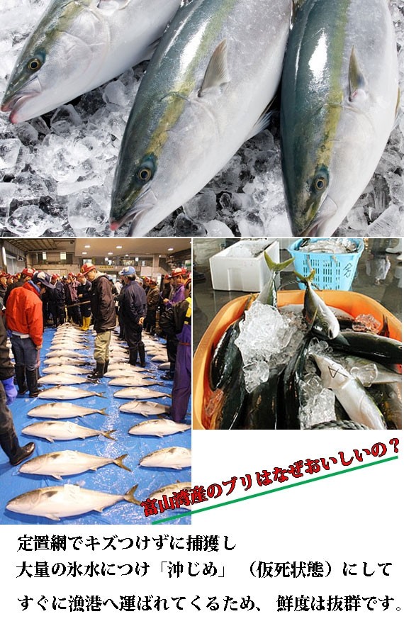 �������ॻ����45%off�����ٻ���ɹ��������̫�����Ż��۱���֤�3�����åȡ���������ʸ�������䡧1/12(��)13���������Ϥ���1/13(��)��/����ʧ����������12(��)���Ϥ�ʬ�Ͻ�λ]�������̤λ���ϤǤ��ޤ��� | ����������ϤΤ����󤻥⡼������jp