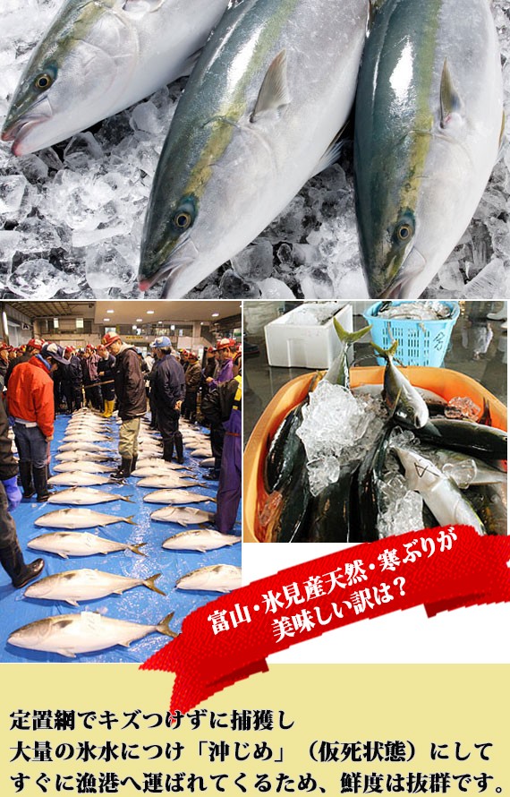 �������ॻ����50%off�����ٻ���ɹ������ �Ҥߴ��֤�ʴ��ޡˡ� �ҿ�<���������9��10kg����δ��֤���ҿȡˡ���������ʸ�������䡧1/12(��)13���������Ϥ���1/13(��)��/����ʧ��������]�������̤λ���ϤǤ��ޤ��� | ����������ϤΤ����󤻥⡼������jp