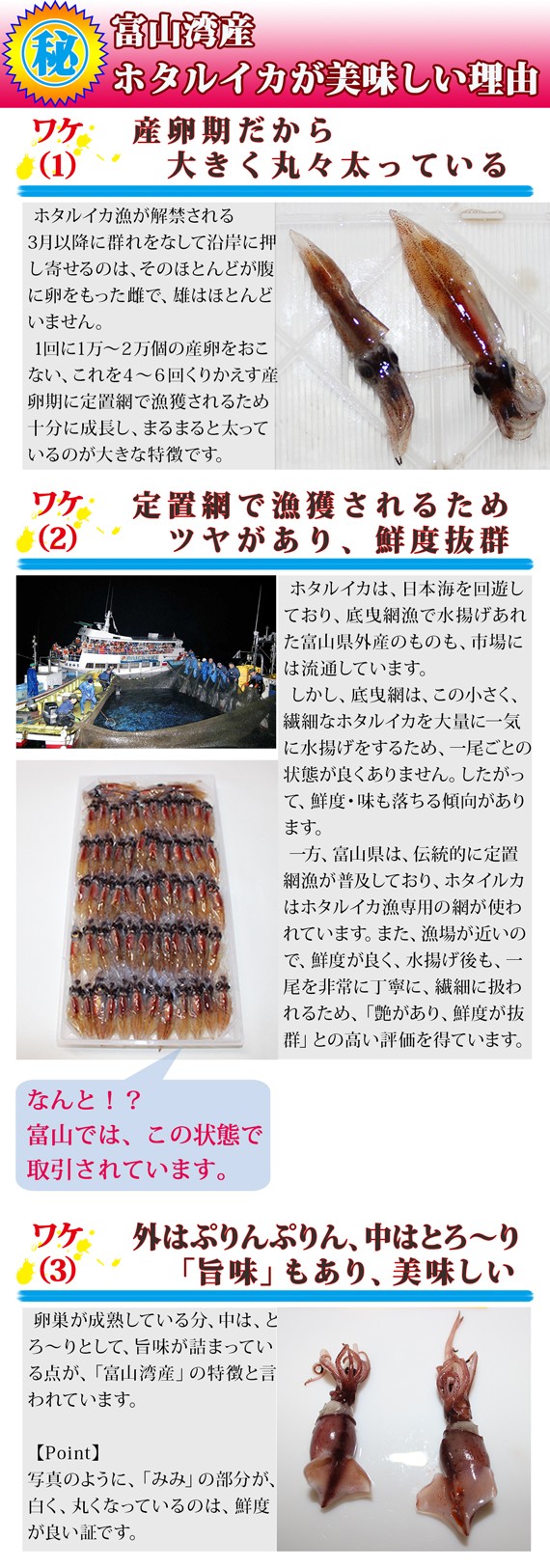 【自家製・辛口】生ホタルイカ キムチ《辛口》(富山・滑川産ほたるいか使用)1ケース120g前後<15尾前後> | 日本全国各地のお取り寄せモール風土jp