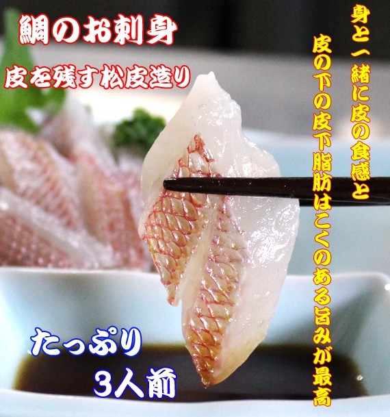 ٻѻŷ1åȻ11.5kg(Ƭ)3640cm塢(ؤӤʢӤ)1620cm͡ॻڤϤλꡧ5/17()ǽ | ϤΤ󤻥⡼jp
