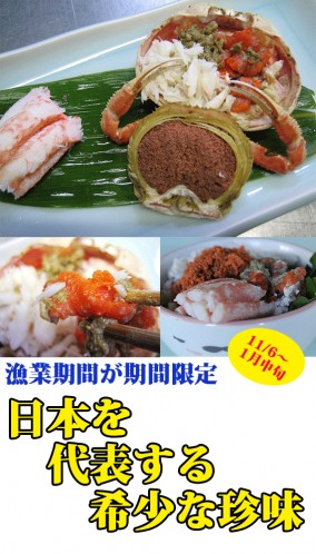 香箱がに(甲箱がに)の甲羅盛り×4ハイ<富山湾産/近海産>|1/20禁漁、最終のお届け:1/22(金) | 日本全国各地のお取り寄せモール風土jp
