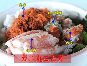 香箱がに(甲箱がに)の甲羅盛り×4ハイ<富山湾産/近海産>|1/20禁漁、最終のお届け:1/22(金) | 日本全国各地のお取り寄せモール風土jp