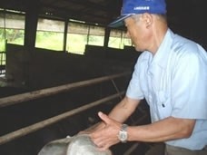 送料無料 お歳暮 年賀 誕生日 産地直送名人増元さんが育てた鹿児島黒豚焼肉セット500g | 日本全国各地のお取り寄せモール風土jp