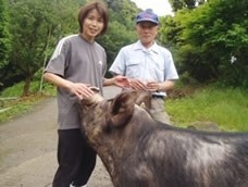 送料無料 お歳暮 年賀 誕生日 産地直送名人増元さんが育てた鹿児島黒豚焼肉セット500g | 日本全国各地のお取り寄せモール風土jp
