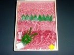 【送料無料】産地直送!坊津黒牛 特選焼肉 500g