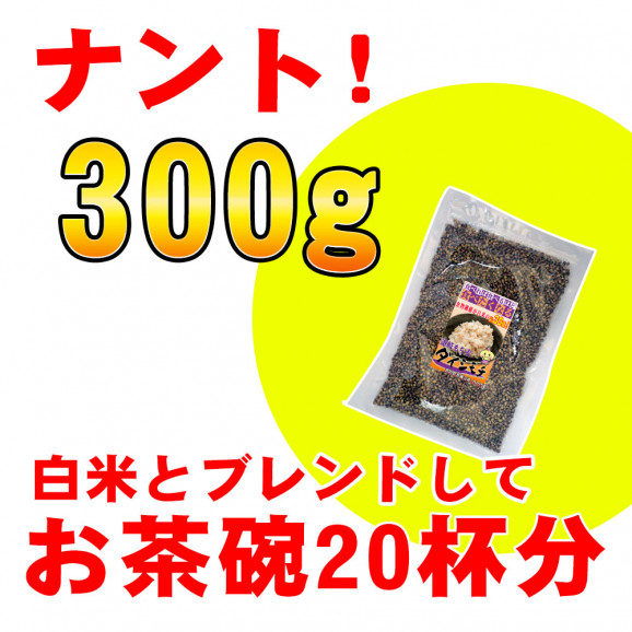 ̻300g   | ϤΤ󤻥⡼jp