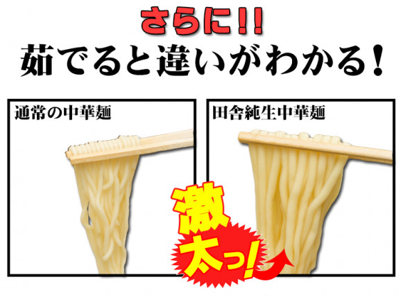 讃岐太麺 純生田舎 甘だれ醤油やきそば5人前 甘たれ付きセット | 日本全国各地のお取り寄せモール風土jp