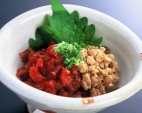 肥後馬刺し:特選バラ(300g・4人前・ブロック) | 日本全国各地の名産品やお土産のお取り寄せモール 風土jp