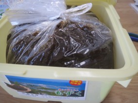 沖縄知念産 塩もずく | 日本全国各地の名産品やお土産のお取り寄せモール 風土jp