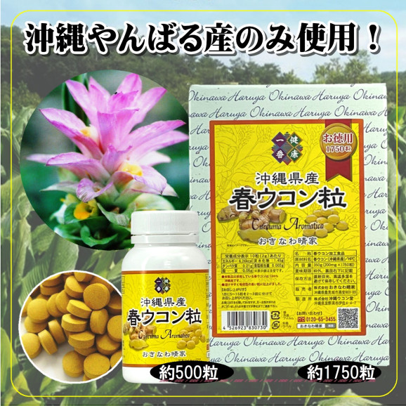 沖縄県産 春ウコン粒 100g 約500粒 日本全国各地の名産品やお土産のお取り寄せモール 風土jp おきなわ晴家