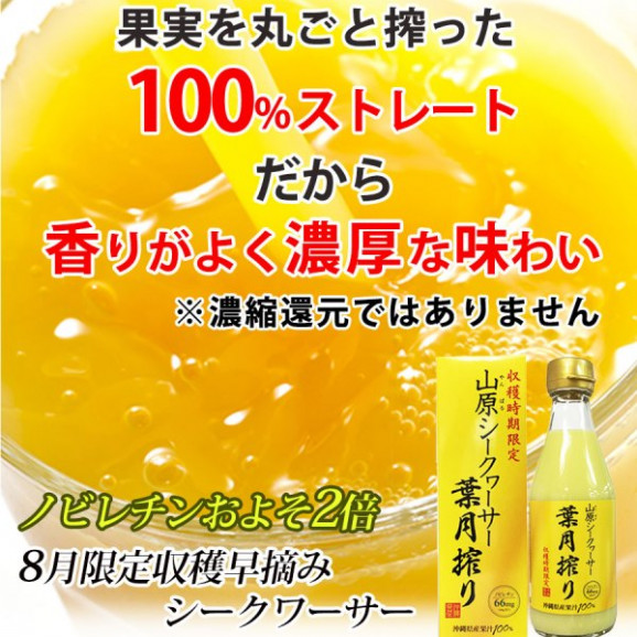  շ 300ml | ϤΤ󤻥⡼jp