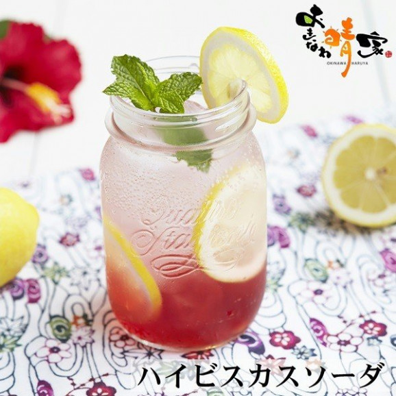 ハイビスカス Beni 500ml×6本 送料無料 | 日本全国各地の名産品やお土産のお取り寄せモール 風土jp