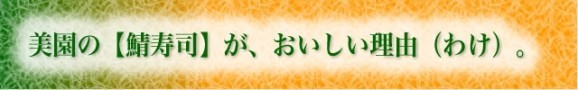 岡山名産　さば寿司（1,360円） | 日本全国各地の名産品やお土産のお取り寄せモール 風土jp
