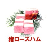 ڷܸΥϥ | ϤΤ󤻥⡼jp