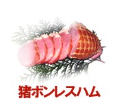 ڷܸΥܥ쥹ϥ | ϤΤ󤻥⡼jp