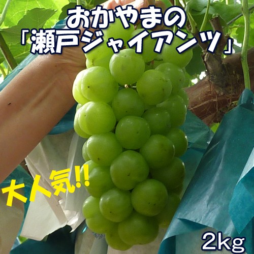 ڲۻľͥ㥤2Kg  | ϤΤ󤻥⡼jp