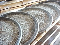 【送料無料】 釜揚げしらす 1kg(200g×5袋) | 日本全国各地の名産品やお土産のお取り寄せモール 風土jp