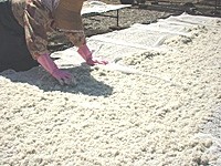 【送料無料】 釜揚げしらす 1kg(200g×5袋) | 日本全国各地の名産品やお土産のお取り寄せモール 風土jp