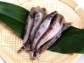 土佐名物 メヒカリ(めひかり)干物