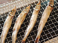 【送料無料】 沖ウルメ丸干し 1kg(200g×5袋) | 日本全国各地の名産品やお土産のお取り寄せモール 風土jp