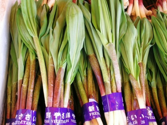 朝採り!即発送!北海道産【行者にんにく】1束50g | 日本全国各地のお取り寄せモール風土jp