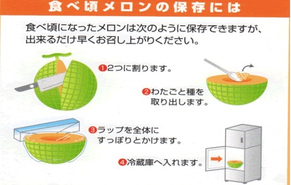 初セリより即お届け!夕張市農協厳選審査 「共選」適合【良品】夕張メロン糖度10%以上 中玉(約1.34Kg)1玉 | 日本全国各地のお取り寄せモール風土jp