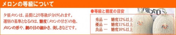 初セリより即お届け!夕張市農協厳選審査 「共選」適合【良品】夕張メロン糖度10%以上 中玉(約1.34Kg)1玉 | 日本全国各地のお取り寄せモール風土jp