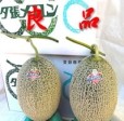 饻¨Ϥ!ͼĥֶŬʡͼĥ10%ʾ塡(1.34Kg)  | ϤΤ󤻥⡼jp