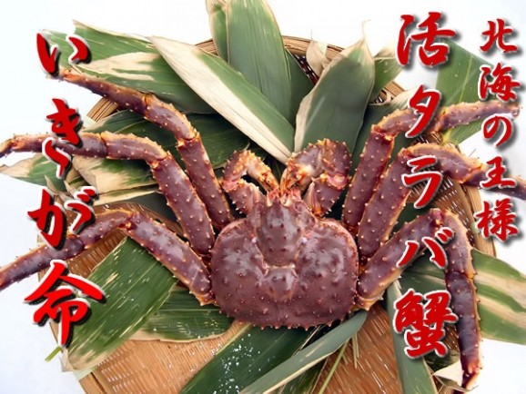 ̵!̣̿󥼥㤤ޤڳ衦ܥг1Kgۡڳ質  | ϤΤ󤻥⡼jp