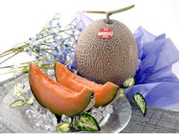 �������ꡢ�ޤ��ʤ��ѡ٤���ʤ��Τ�58%OFF!!���̳�ƻ���������ۤդ�Ρ������ҡ������٥ĥ����1�� | ����������ϤΤ����󤻥⡼������jp