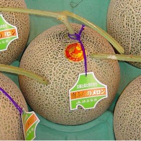 �������ꡢ�ޤ��ʤ��ѡ٤���ʤ��Τ�58%OFF!!���̳�ƻ���������ۤդ�Ρ������ҡ������٥ĥ����1�� | ����������ϤΤ����󤻥⡼������jp